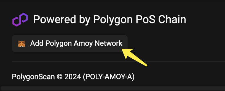 polygonscan-2